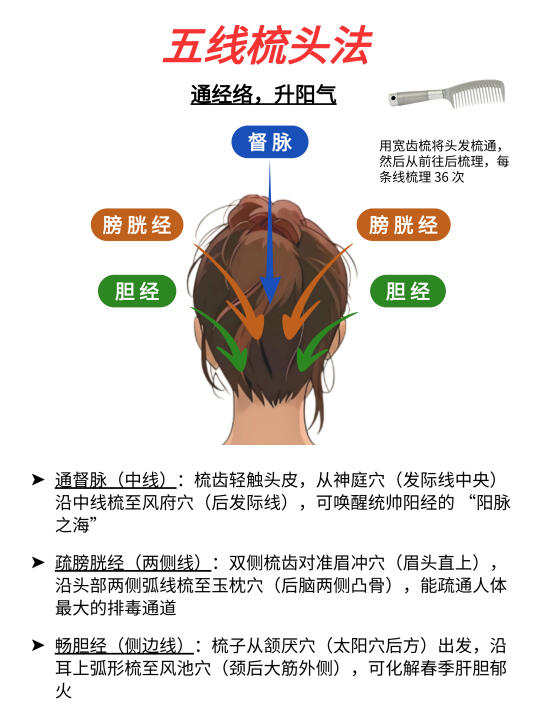 五线梳头发🔥疏通经络，升阳补气……