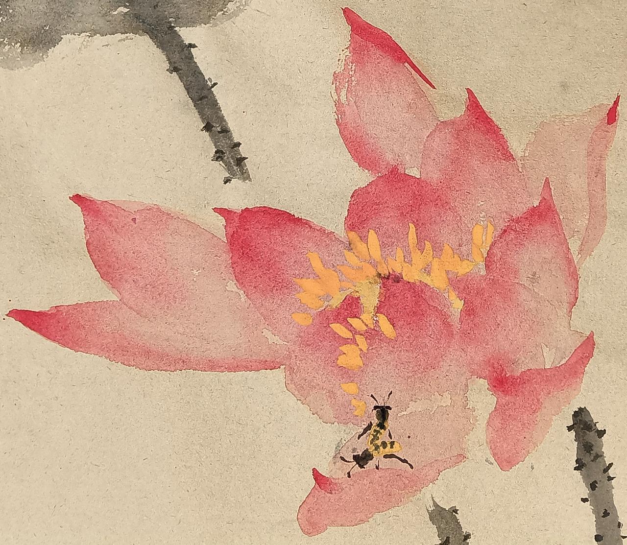 毛边纸，写意荷花