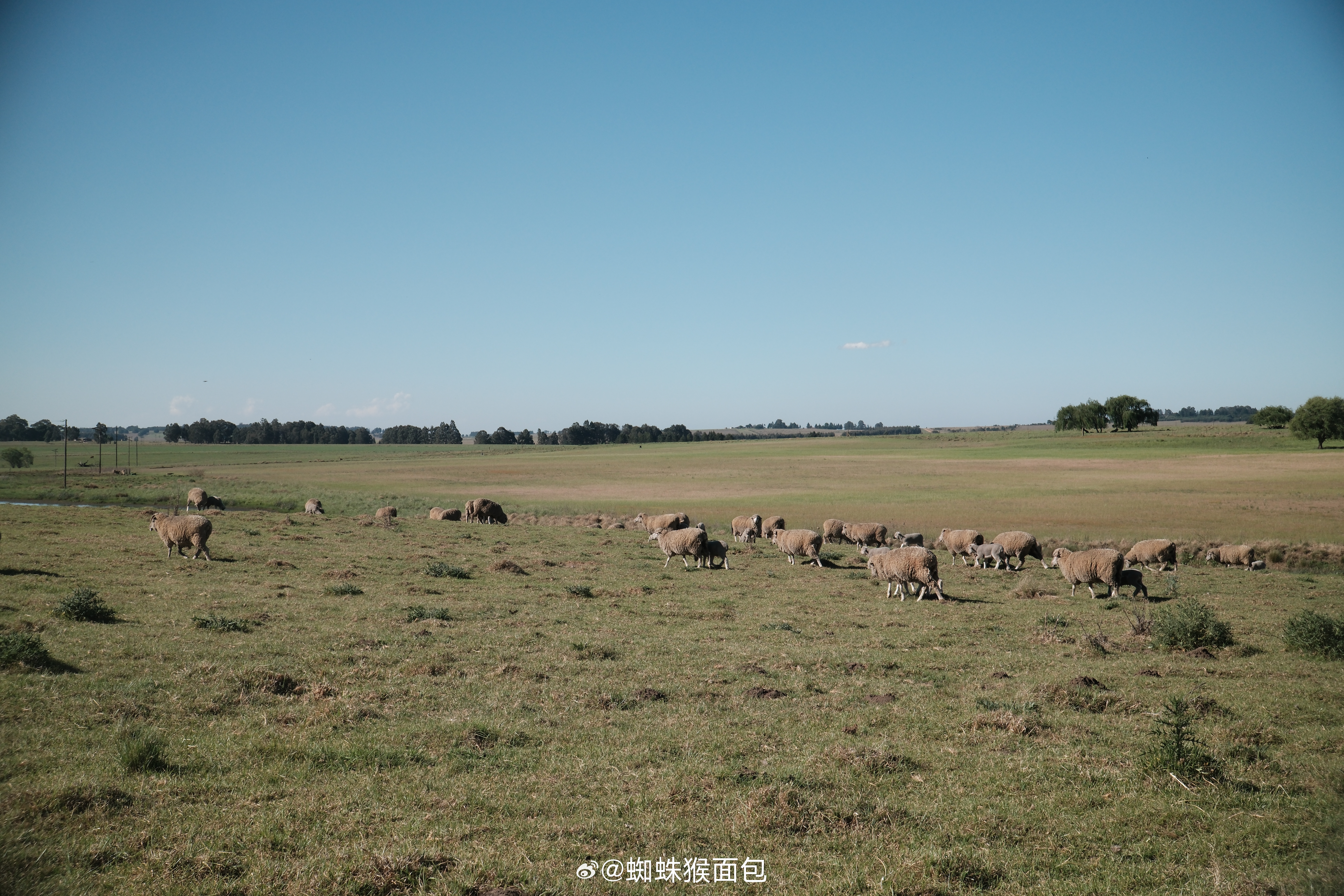 来到了传说中的“大魔王”之都：约翰内斯堡（Johannesburg）几乎所有的旅