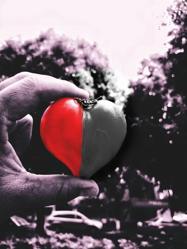 相遇是缘分,什么是心灵知己? 人海茫茫，相遇是难得的缘分。可很多人天天见面，也走