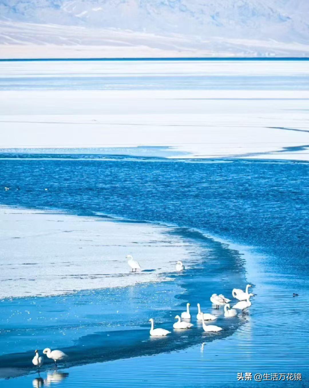 这次牛市让散户无路可走无钱可赚。