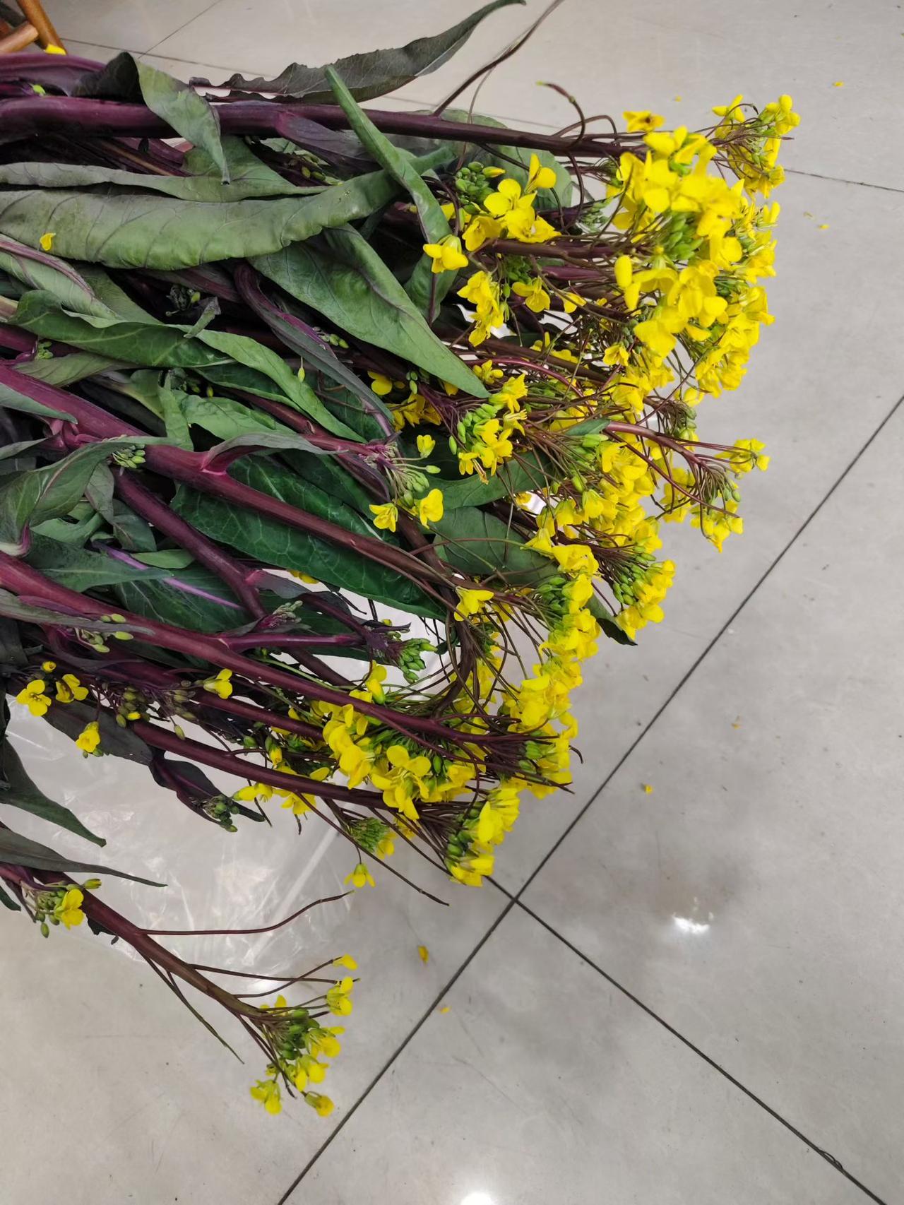 这个季节的菜苔清甜可口，好腊肉一起炒味道好极了，用武汉话说就是“听了头”，现在武