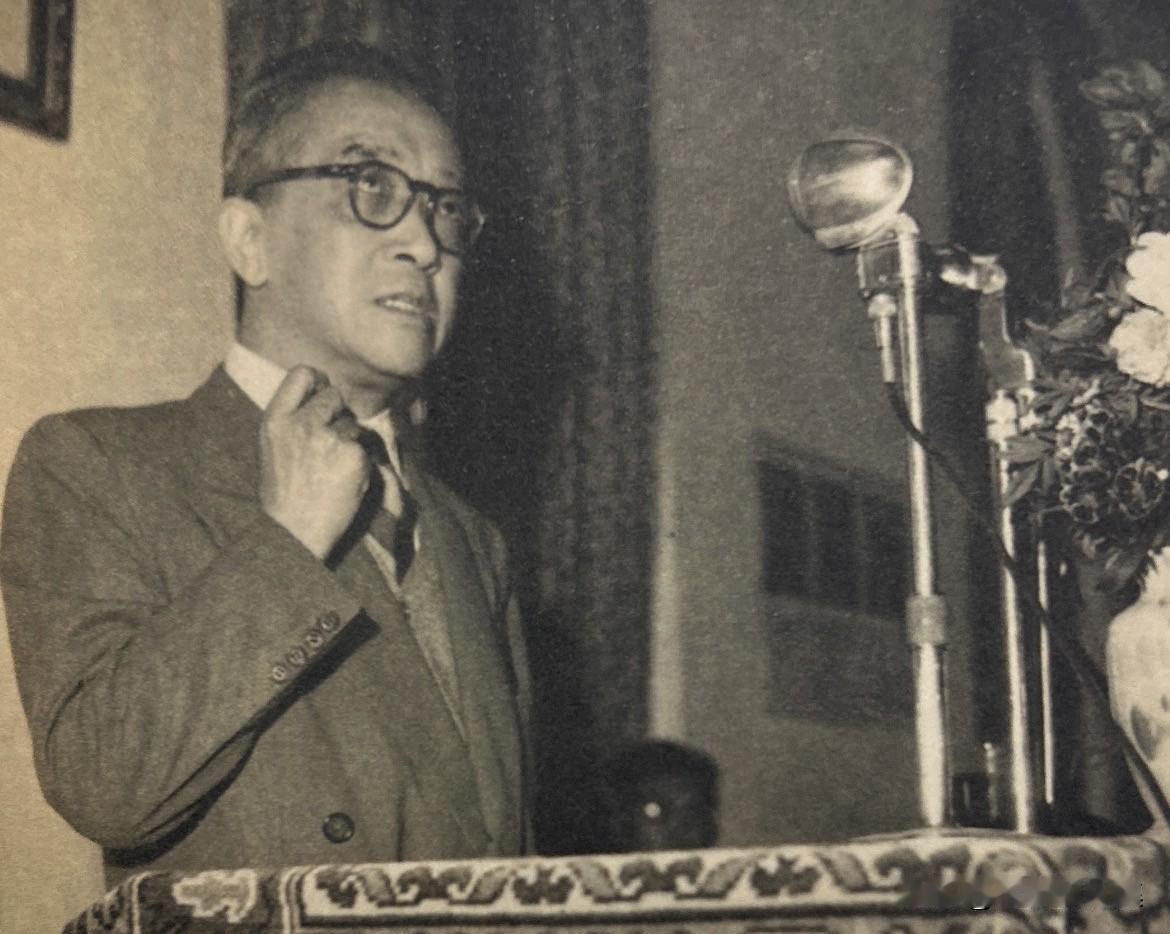 1952 年及1954年胡适回台期间，曾多次公开演讲，内容包括教育、学术、政治等