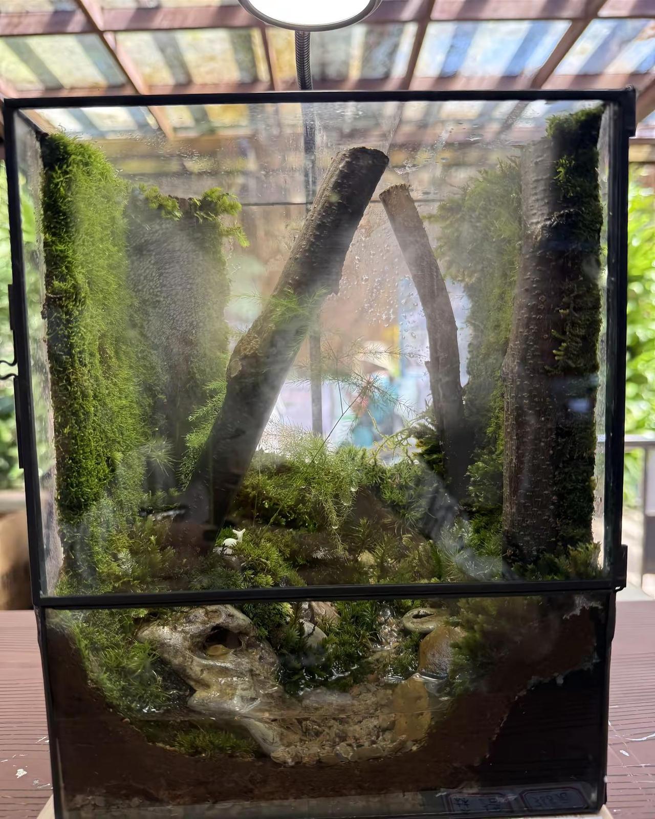 死磕到底。生态造景 大自然
