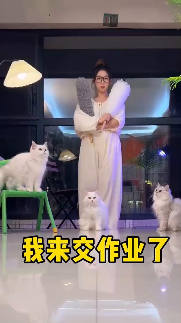 我来交作业了。