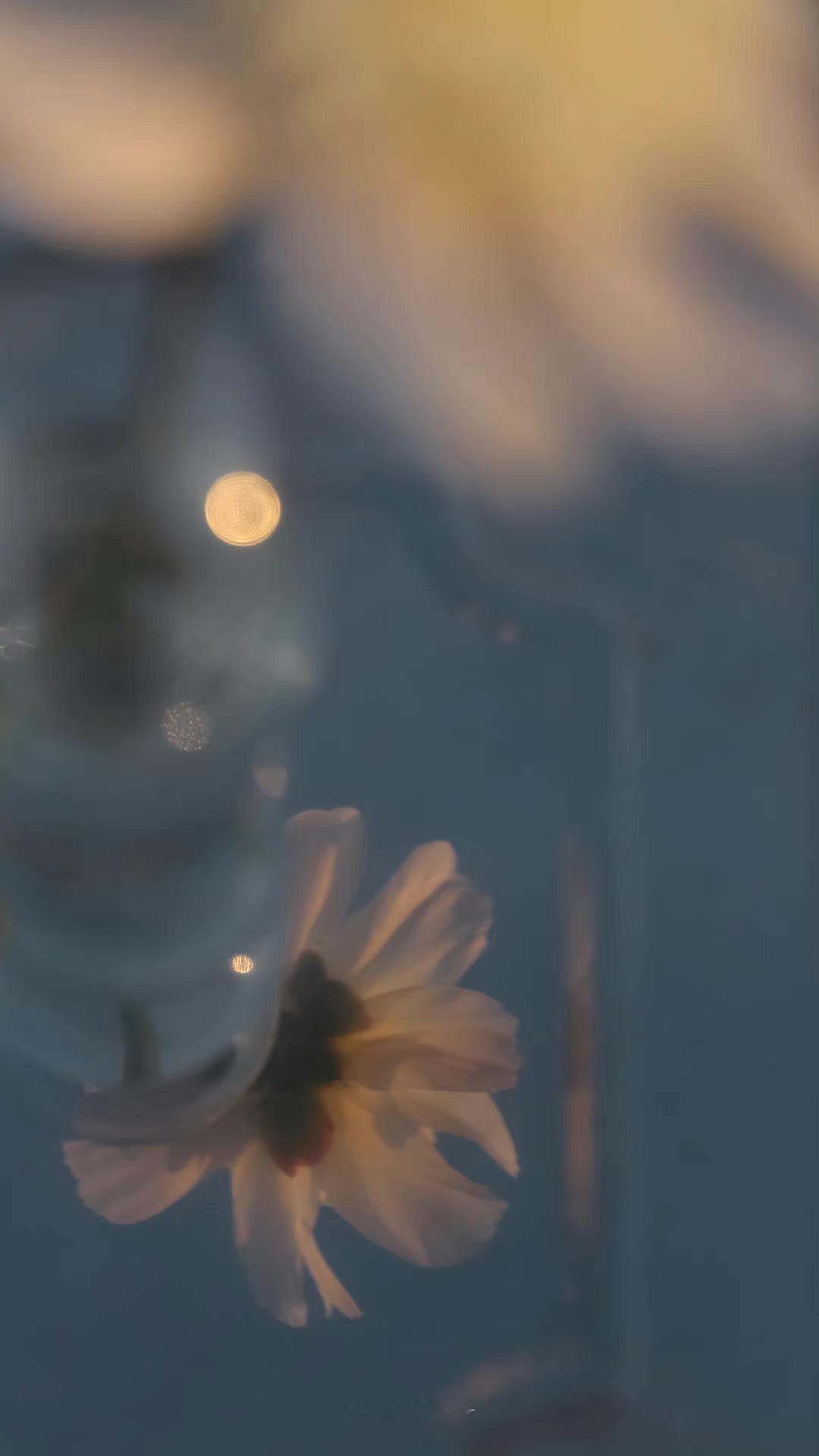 道一声珍重，各自转身，你有你的归依，我有我的宿命。——白落梅