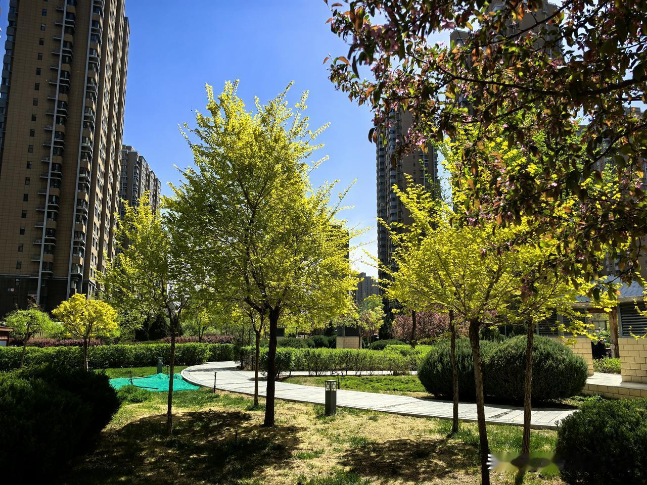 每天说一句生活感悟人生本就是一场平淡的修行，不必事事强求，也不用处处较真。把心放