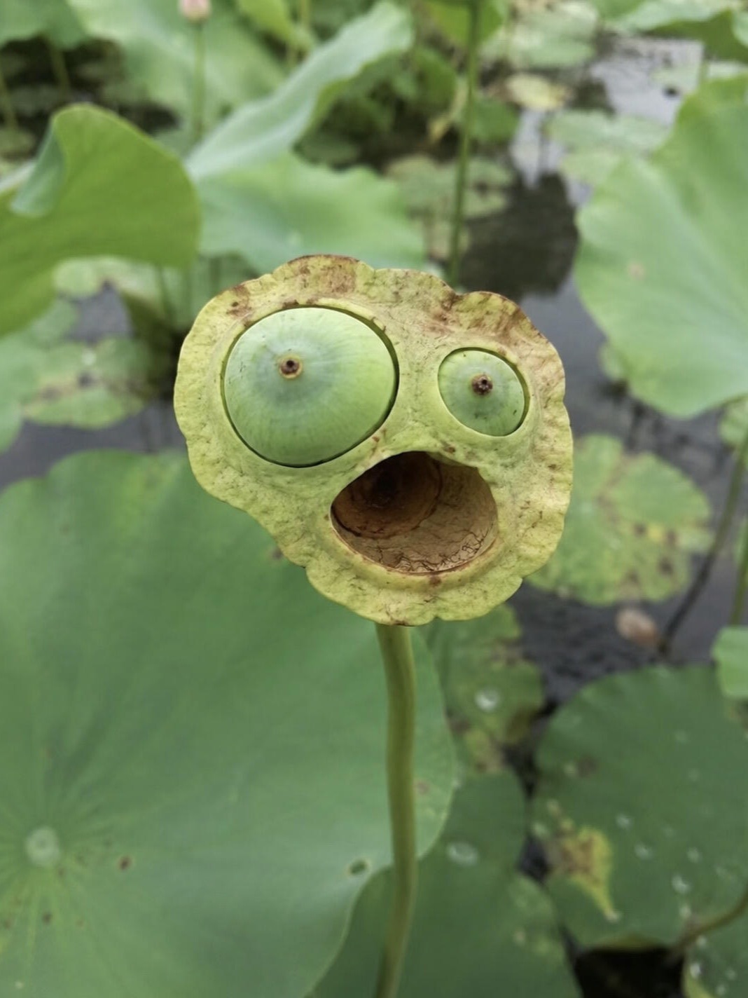 周一上班的你