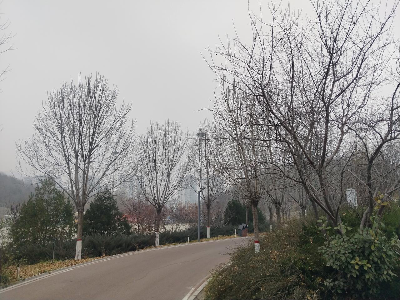 石家庄西部，天气越来越阴沉，越来越有下雪的节奏。
       已经烘托了好几天