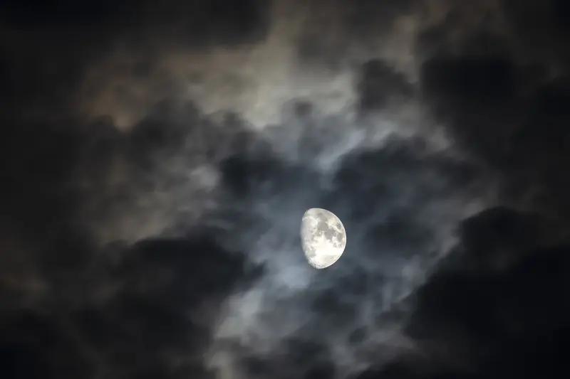 月光下的森林安睡曲
 
       夜色像一块柔软的深蓝色绒布，轻轻盖住了整片