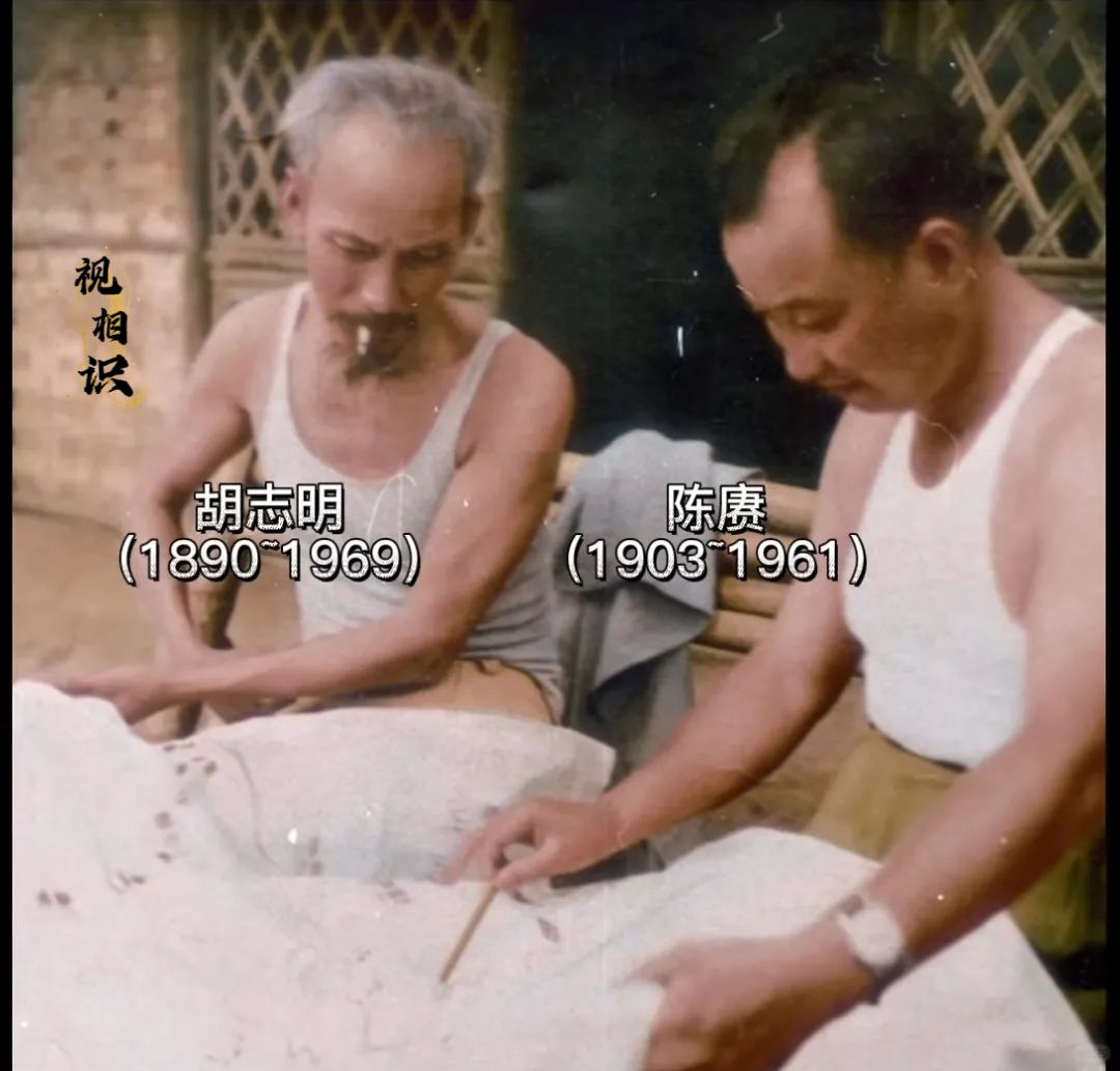 50年代，越南抗法战争时刻，胡志明和陈赓的同框照片，由于两天炎热，两人都只穿着背...