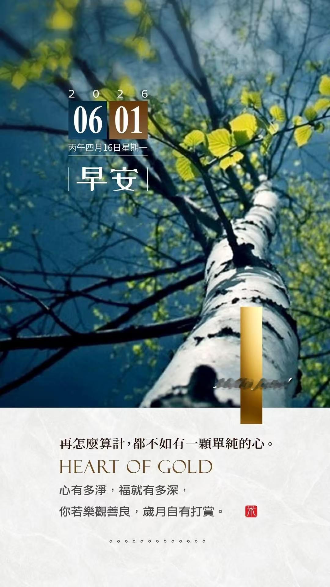 当年上网最初接触的就是论坛，天涯社区 神帖无数，多年以后回头望去，一点都不过时，