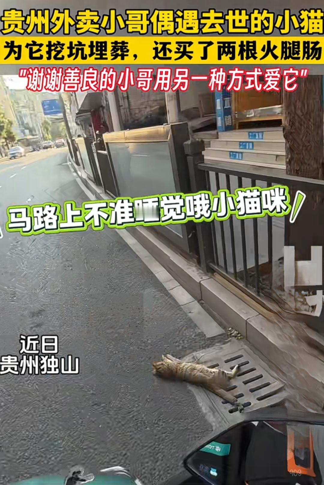 你以为外卖小哥只是个普通的快递员？错！他用行动告诉我们：善良，可以在最平凡的瞬间