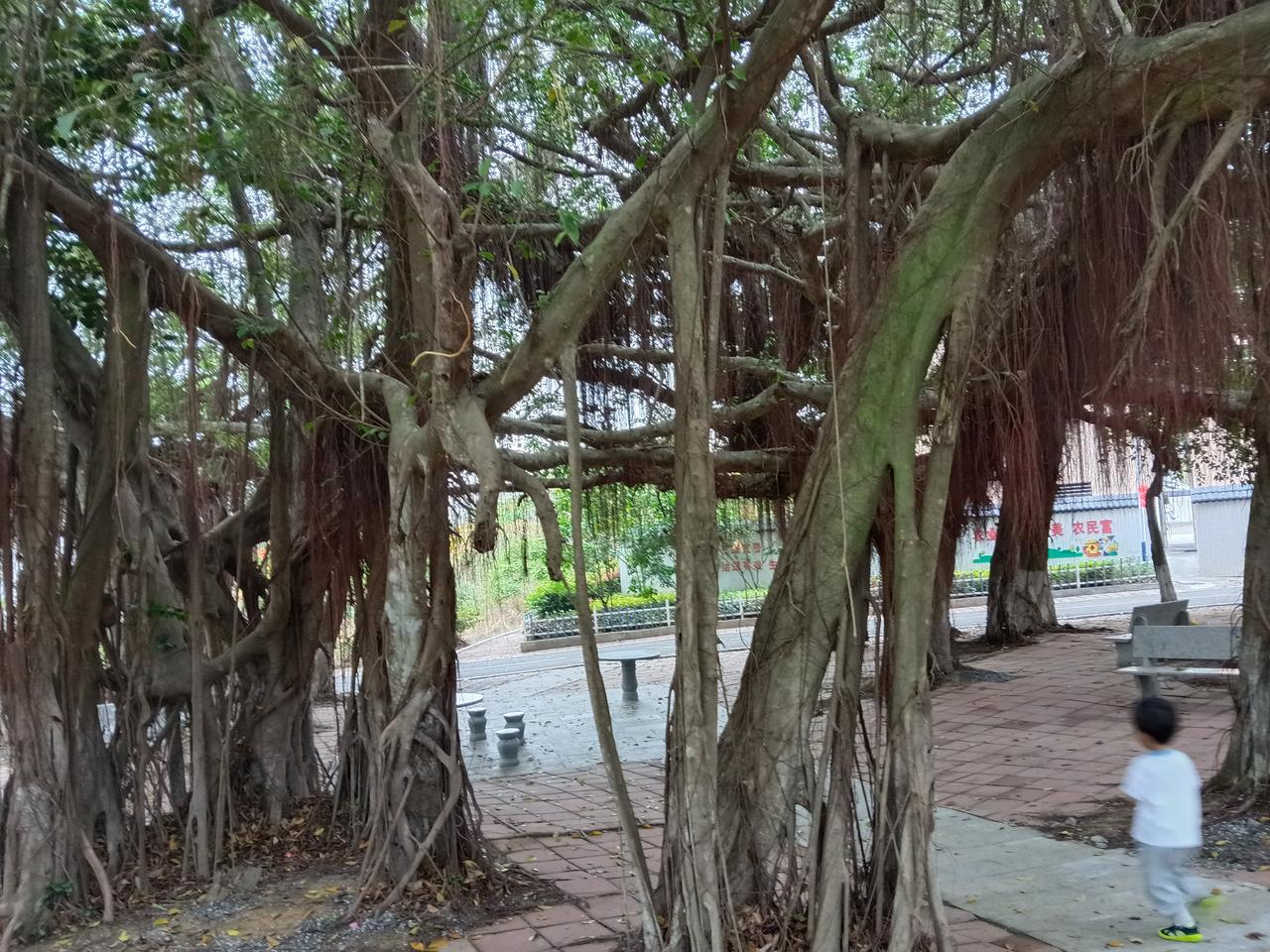 抛开钱不谈，你现在最需要什么身体健康