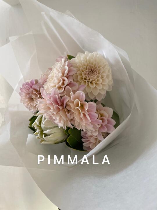 PIMMALA｜想拿着花跳支🩰