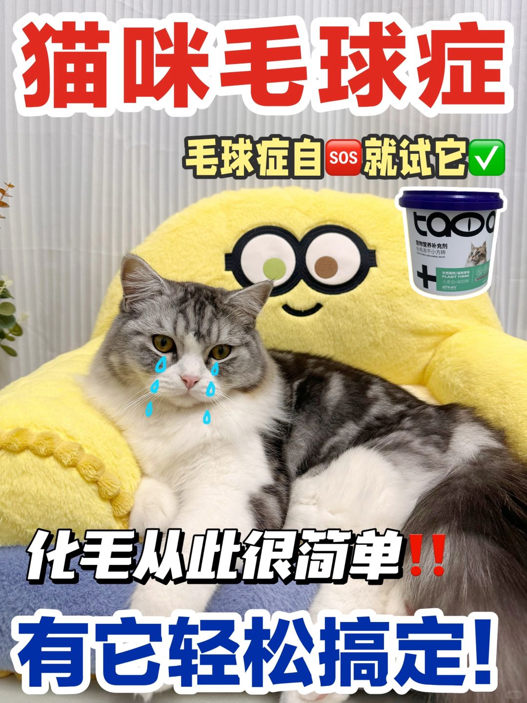 4年养猫真实化毛经验分享｜新手铲屎官必看