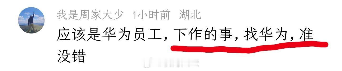 蔚来只是说造谣蔚来经营状况被公安处罚的是某车企员工，但并没有指名道姓，怎么这群人