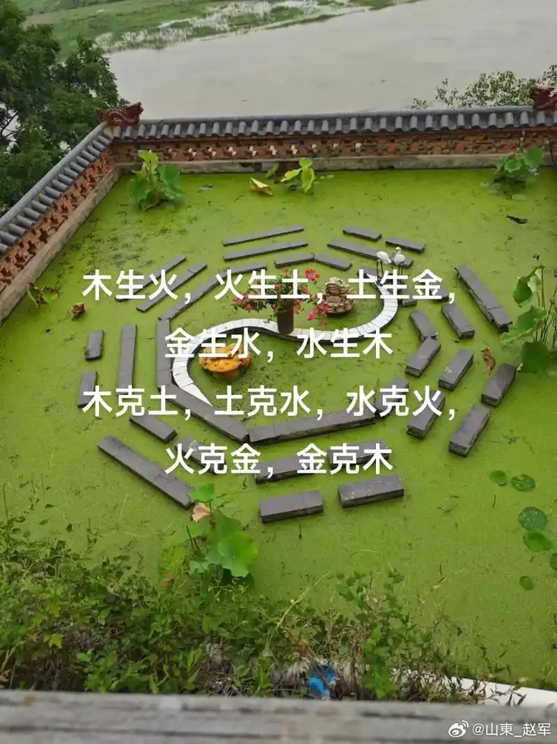 沿用咱们统一的能量模型：火=运转热力、动力源头土=饮食原料、炼化转化车间金=提纯