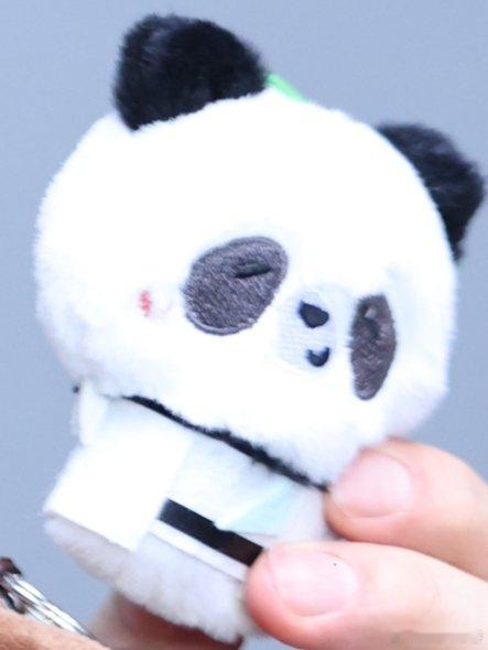 这个捏熊猫玉竹脸真的太萌萌了——别管 我就要这样熊猫塑玉竹jpg 