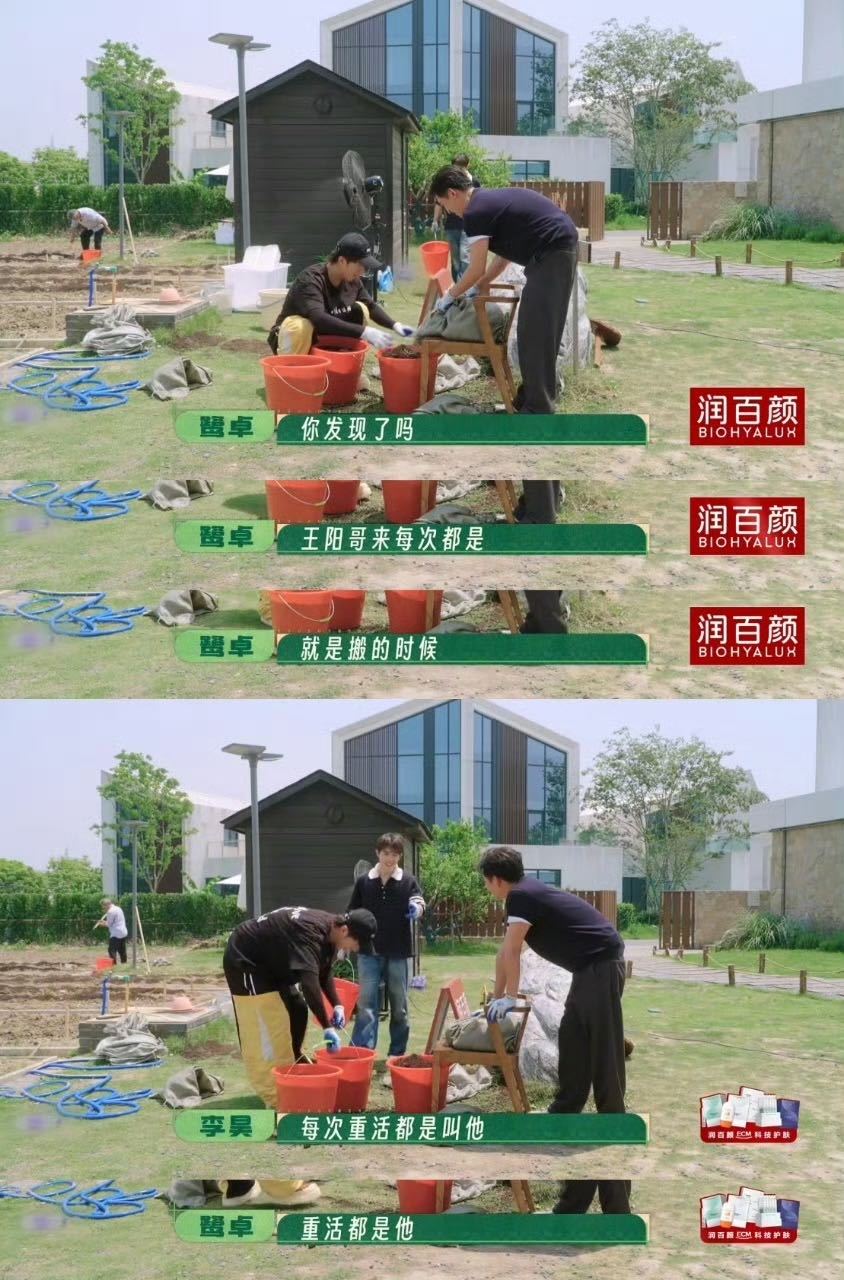 王阳一回后陡门，重活就自动刷新了是吧！ 搬化肥、栽玫瑰，每次来都精准赶上高强度任