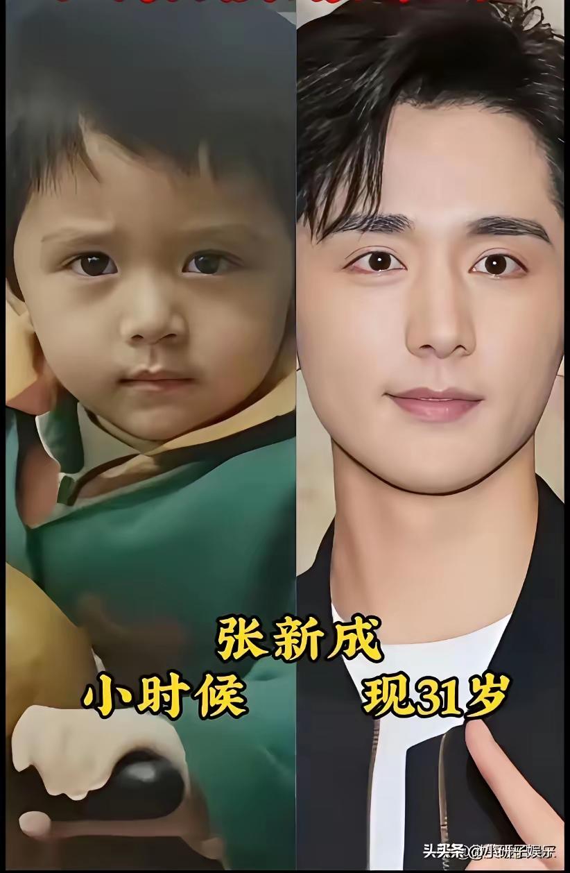 李现小时候这模样才是奶奶的梦中情深吧 ，这胖乎乎又可可爱爱的样子，真的是哪个老人