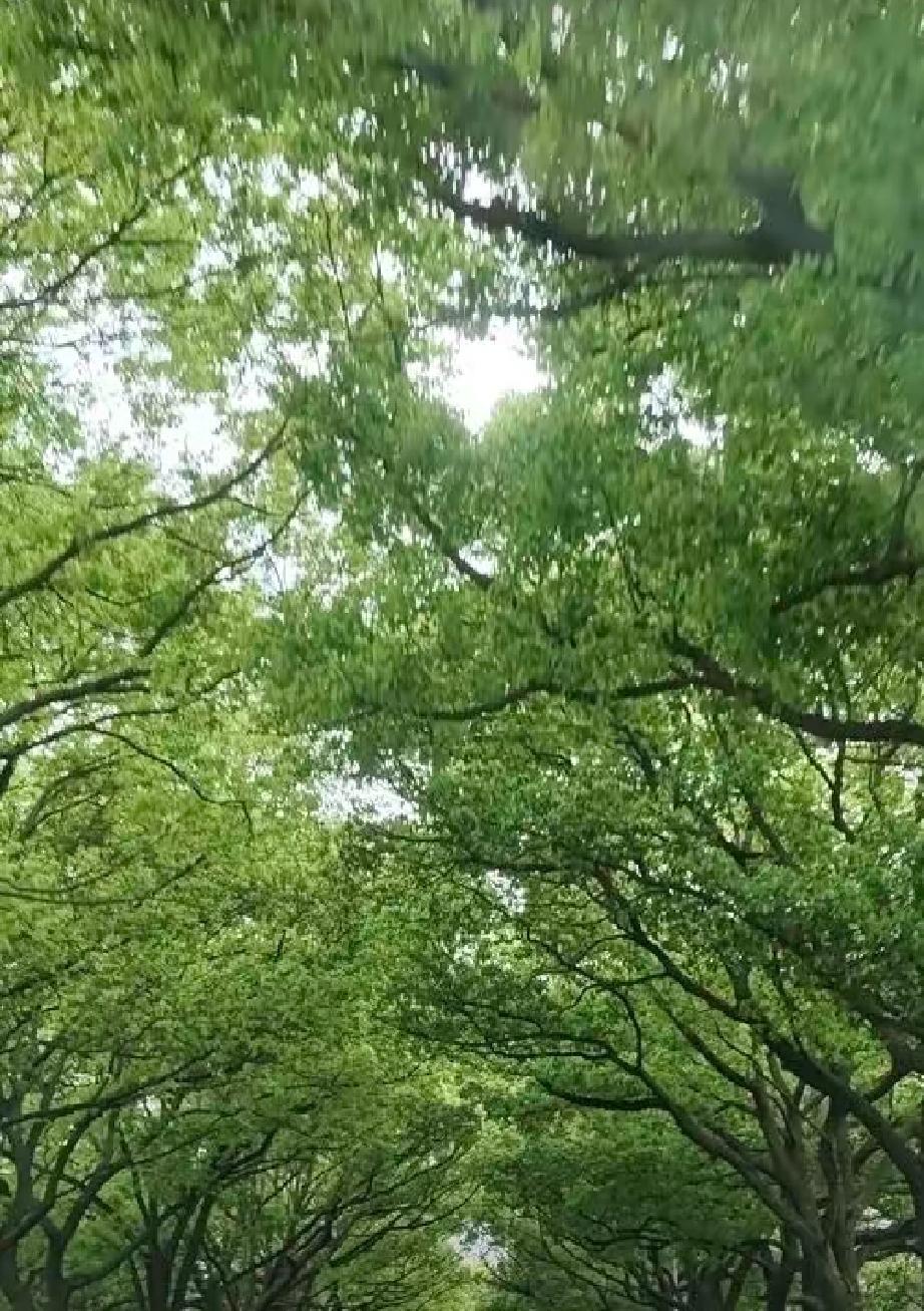 我发现，我妈老了，连性格都变了 ，今天早上我给妈妈打电话说，明天五一放假我就回去