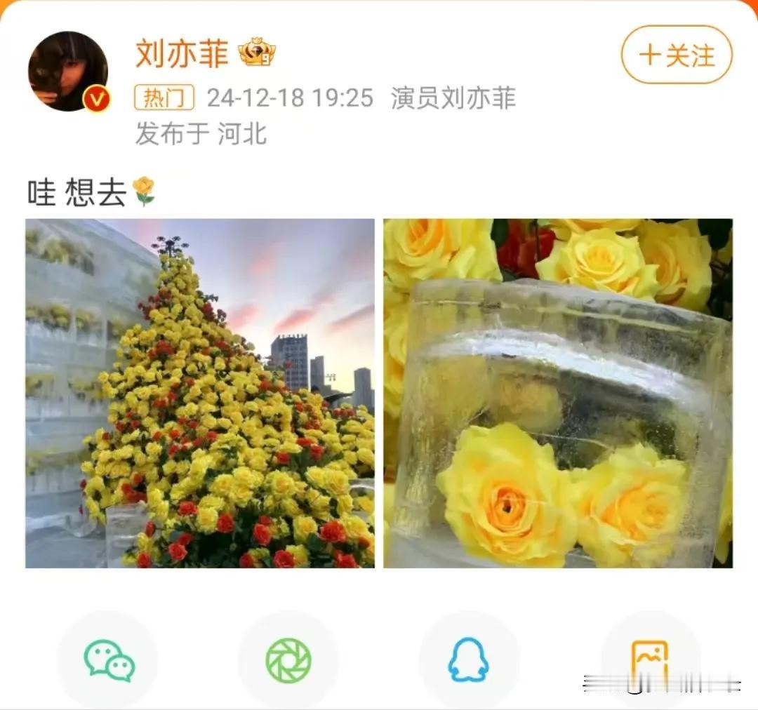 “姐姐快来玩呀”！12月18日，在看到哈尔滨举办的冬日限定活动后，独特的透明冰雕