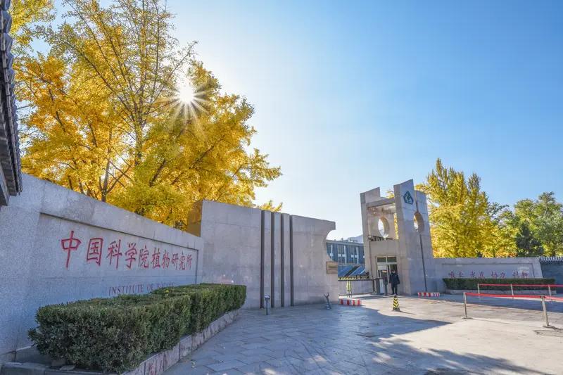 科研实力领先的大学，为学生提供的研究资源极为丰富。就拿中国科学院大学来说，尽管它