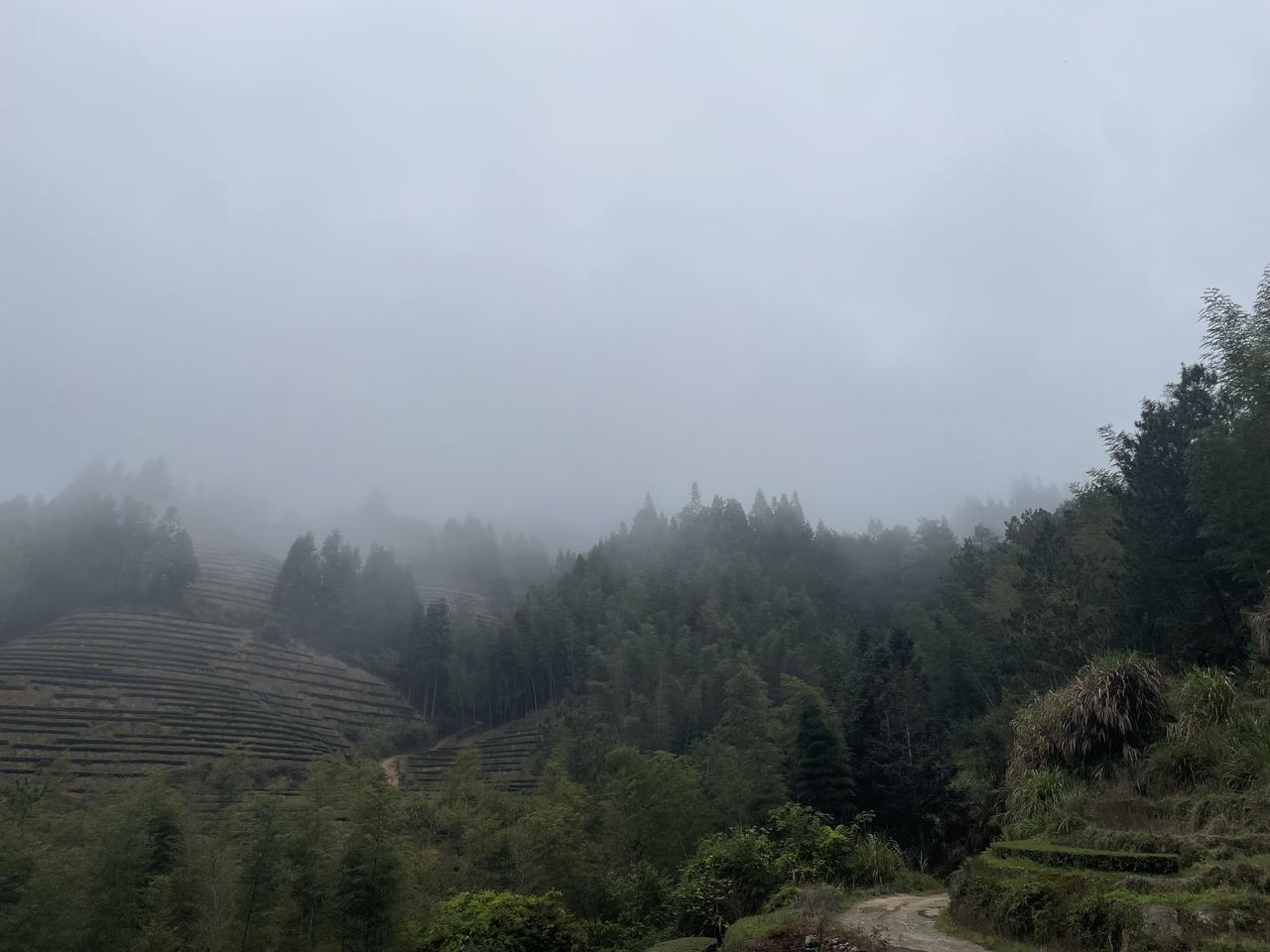 春日日常打卡

春风一吹，日子都变得温柔起来。晨起散步，看枝头抽新芽，路边花开得