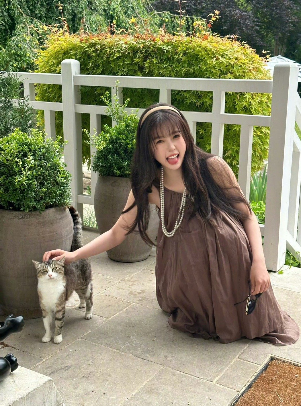 小猪和小猫 ​​​