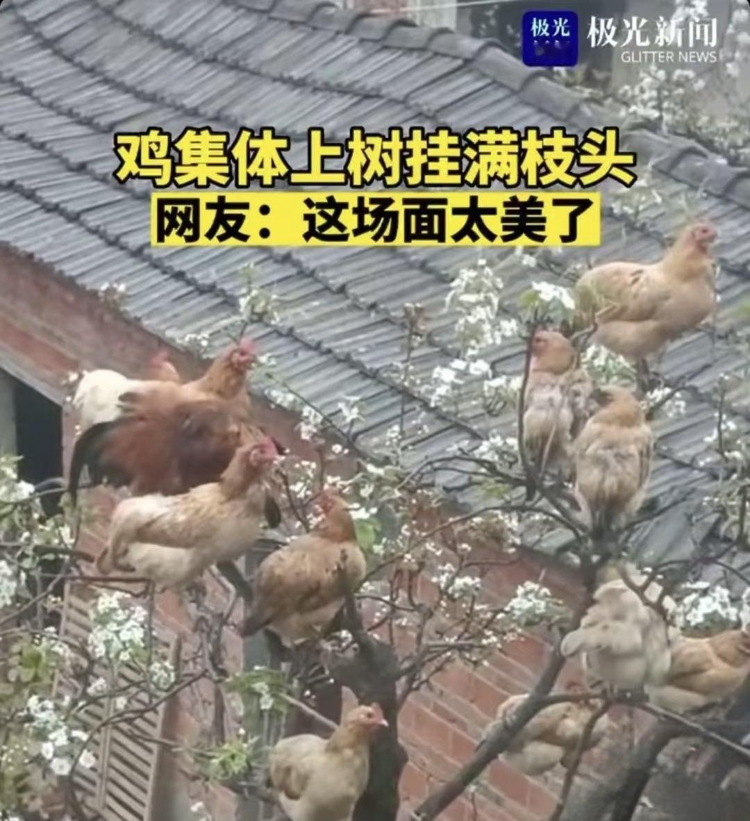 莪和朋友宝宝聚会✨ 