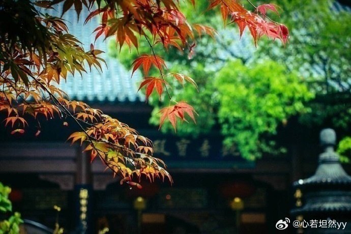 阳光信用  世界上有两种人，最值得我们去珍惜。不富，却愿意为你倾其所有的人，很忙
