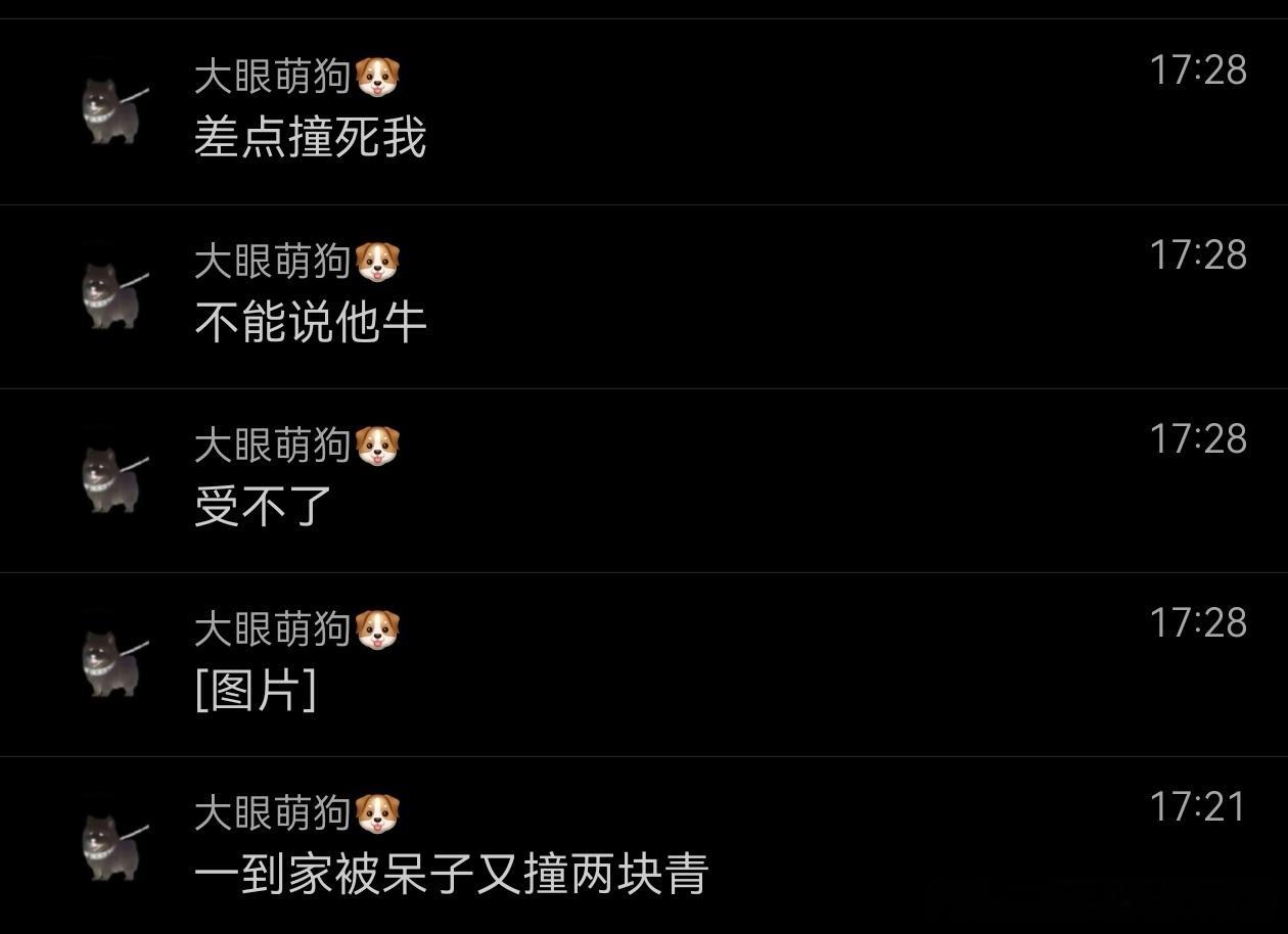 不呆 看到妈妈回家开心的呆🐶把妈妈撞青了奖励自己沙发两头狂奔 吓的妈妈鞋都没来