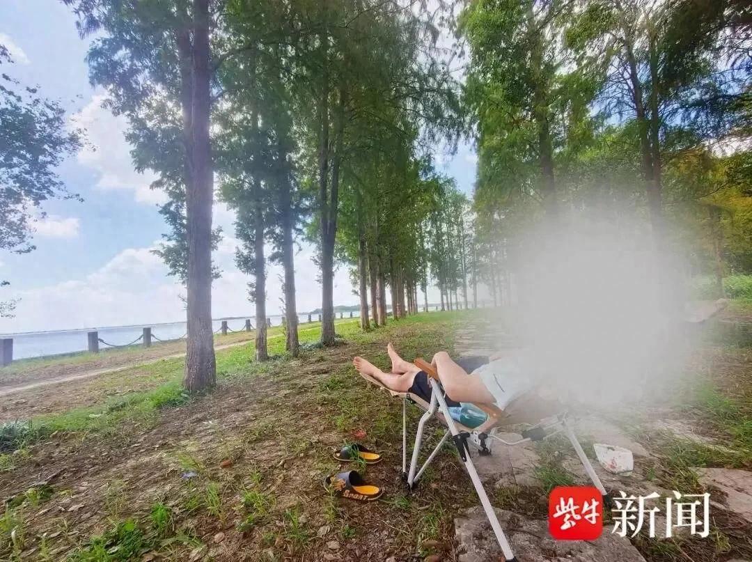 太诡异了！江苏昆山，母子二人带折叠椅和地垫在树下休息吹风，仅20多分钟后儿子突感