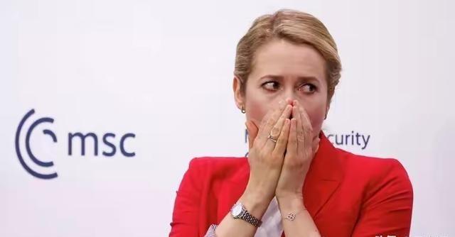 俄外交部特使怒斥卡拉斯：“无知、笨拙、愚蠢的女人”
4月1日，俄罗斯外交部特使康