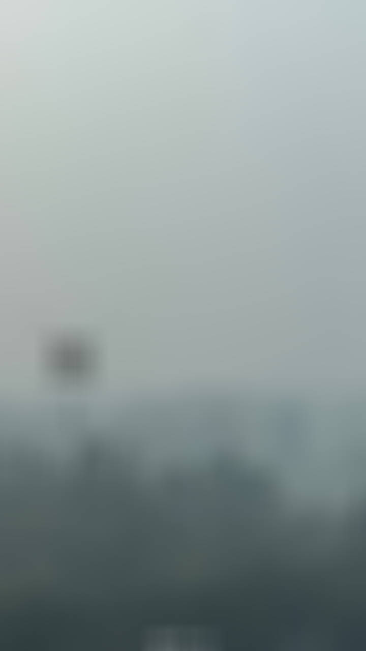 这个角度看着肥嘟嘟的有点想被握着午睡 ​​​