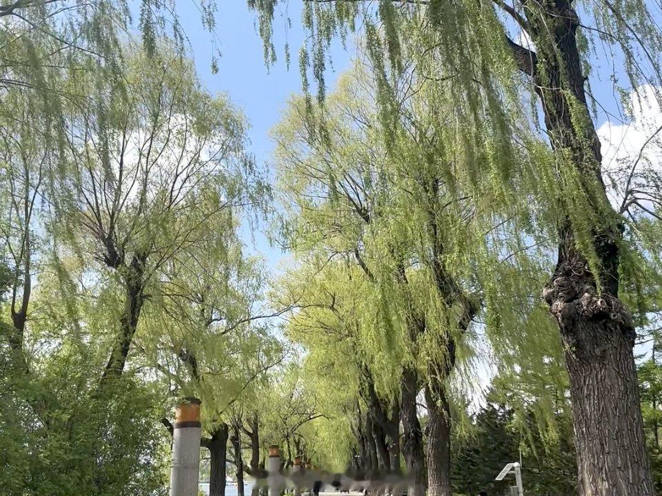 继续捐步做公益啦！今天是个好天气，边走边晒太阳，浑身都暖乎乎的~我的日常plog