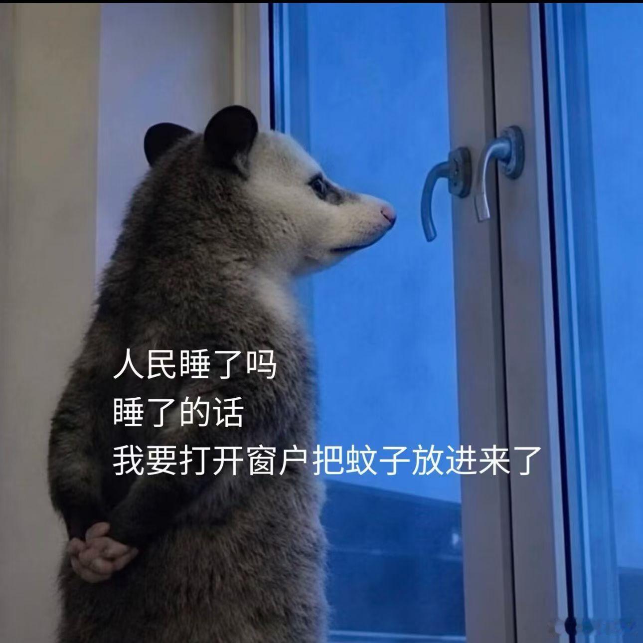 一点了没睡的人在干嘛 