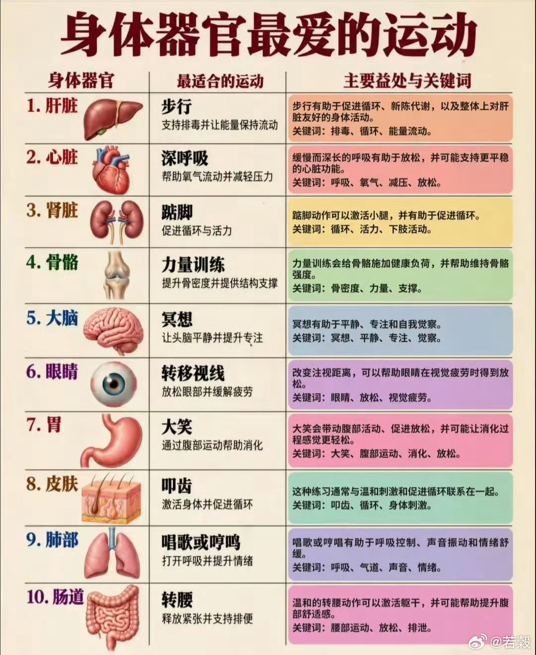 身體各器官最愛的運動。 ​​​