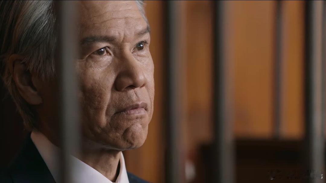 执法者们执法者们观后感 说实话，很长时间的剧荒让我对各式剧集已经失去了耐心了，要