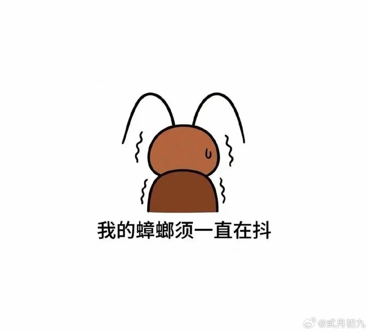 盐焗虾真好嗑 有演技有颜值的双男主剧是有些环大陆剧比不了的