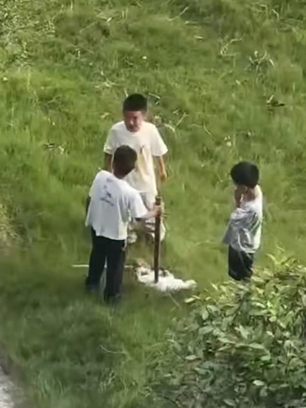 3名男孩虐猫致死家长发声 我看小图的时候，这个动作真没让我想到他是个小孩。我在想