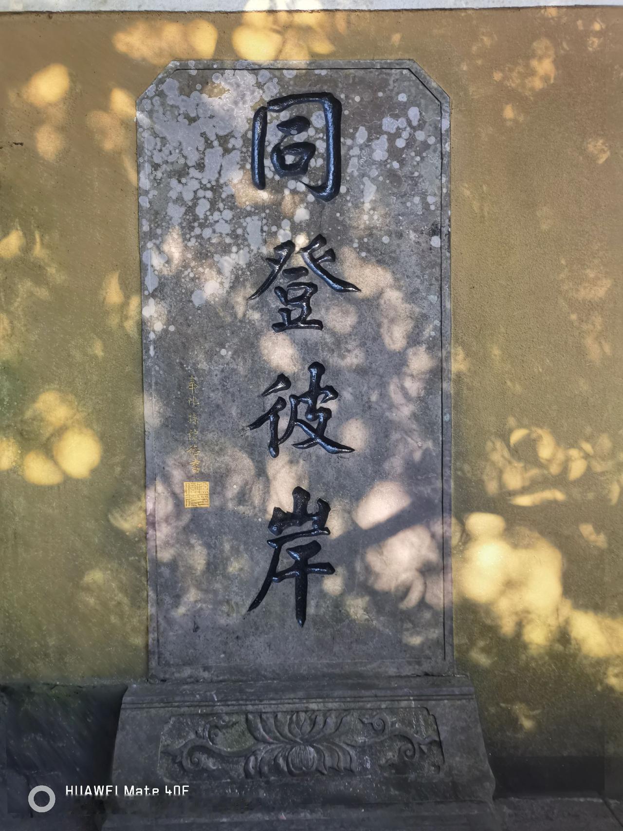 這裏是普陀山景區。第三次到這參觀。2023年11月3日