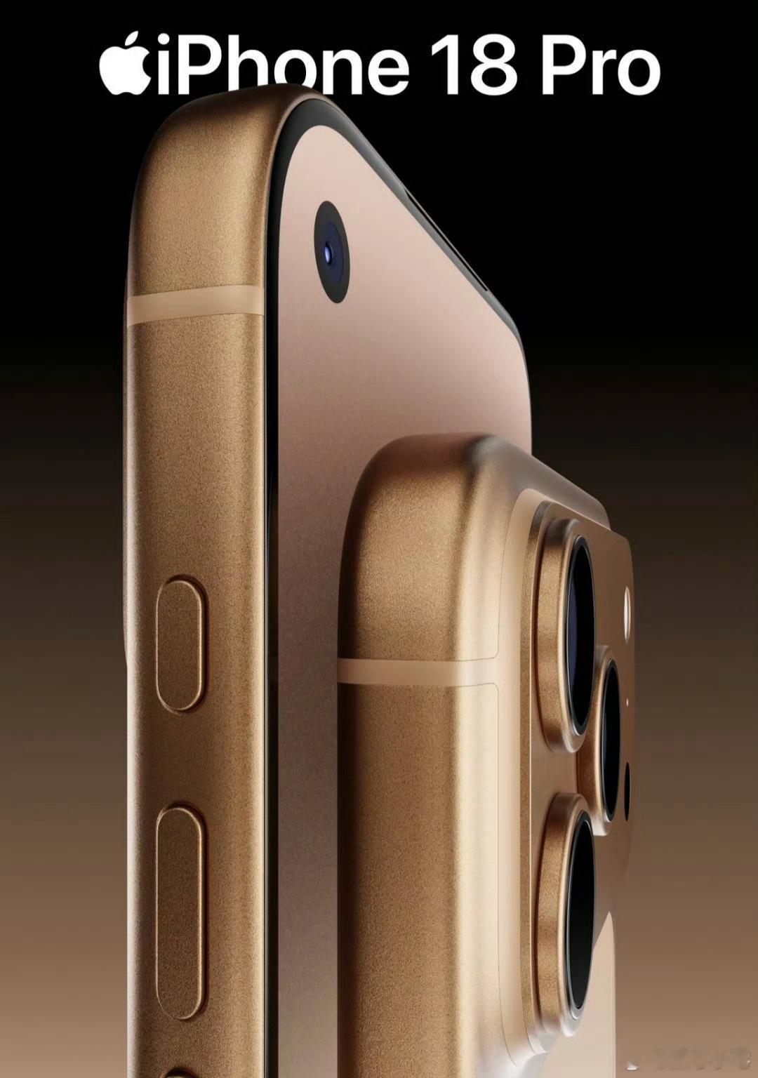 估计不少等着换18的用户看到这图天都塌了，左上角开孔和几年前的安卓有啥区别？不过