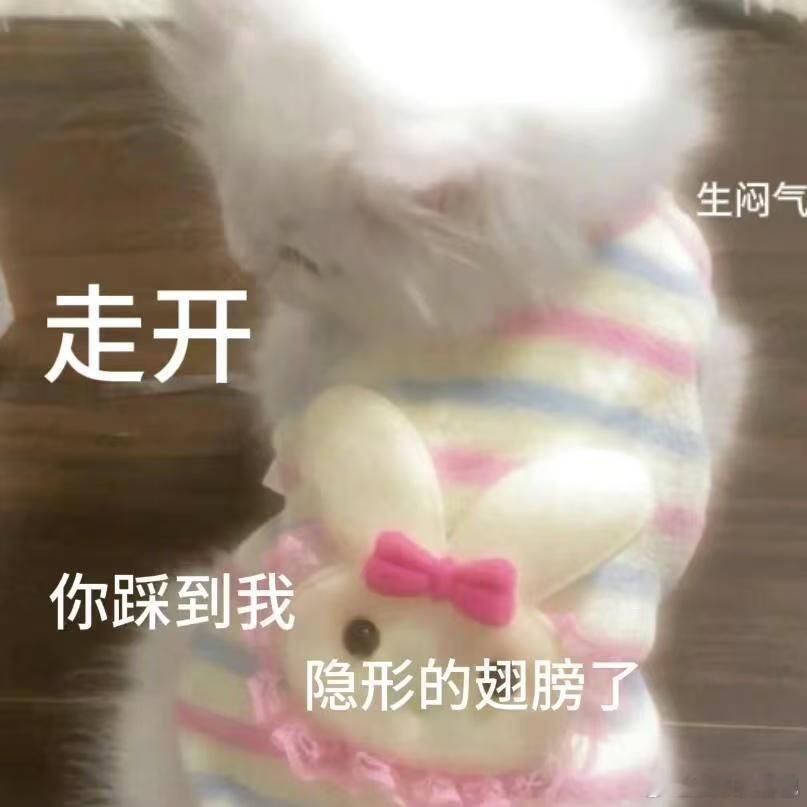 当我带豆包去吃旋转小火锅 煮好的鱼丸刚捞出来，豆包抢过去吹了又吹，非要喂我一口，