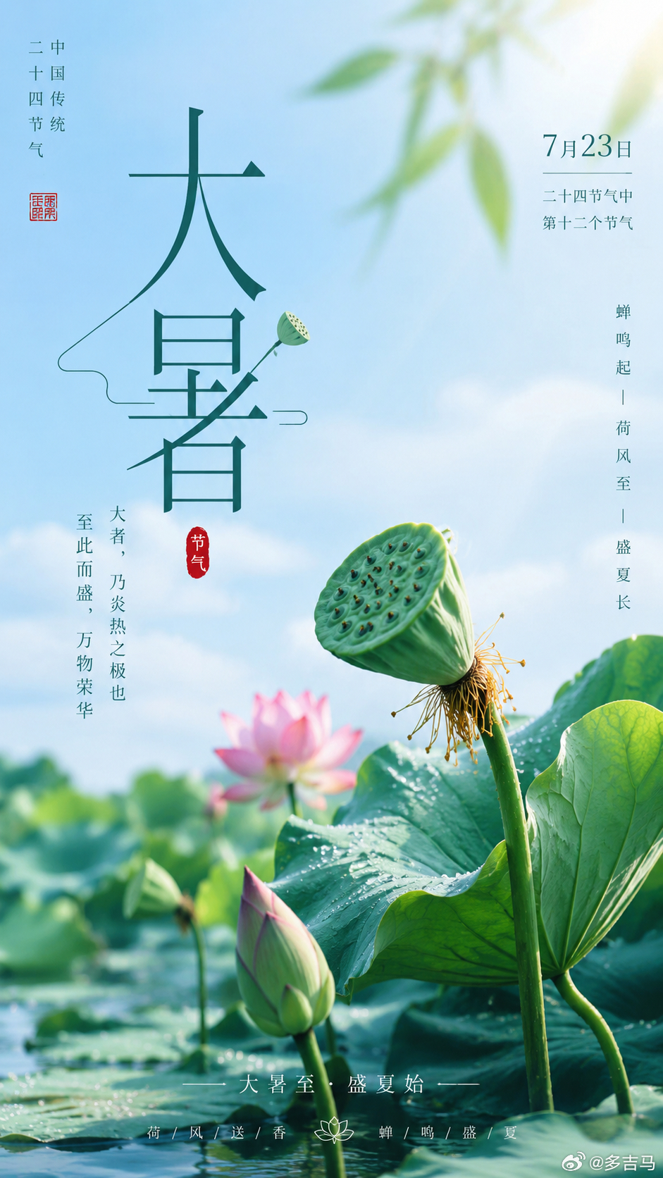 这个世界也有人不了解海，不知爱海，也有人了解海，不敢爱海。      ——沈从文