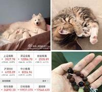 2017年离开上海，2026年回来，见到了想见的朋友们，中年人各自有好多困难，要