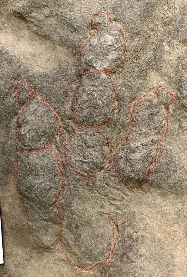 村民用了多年的垫脚石竟然是恐龙足迹化石！

1998年，四川富顺县两位村民或许未