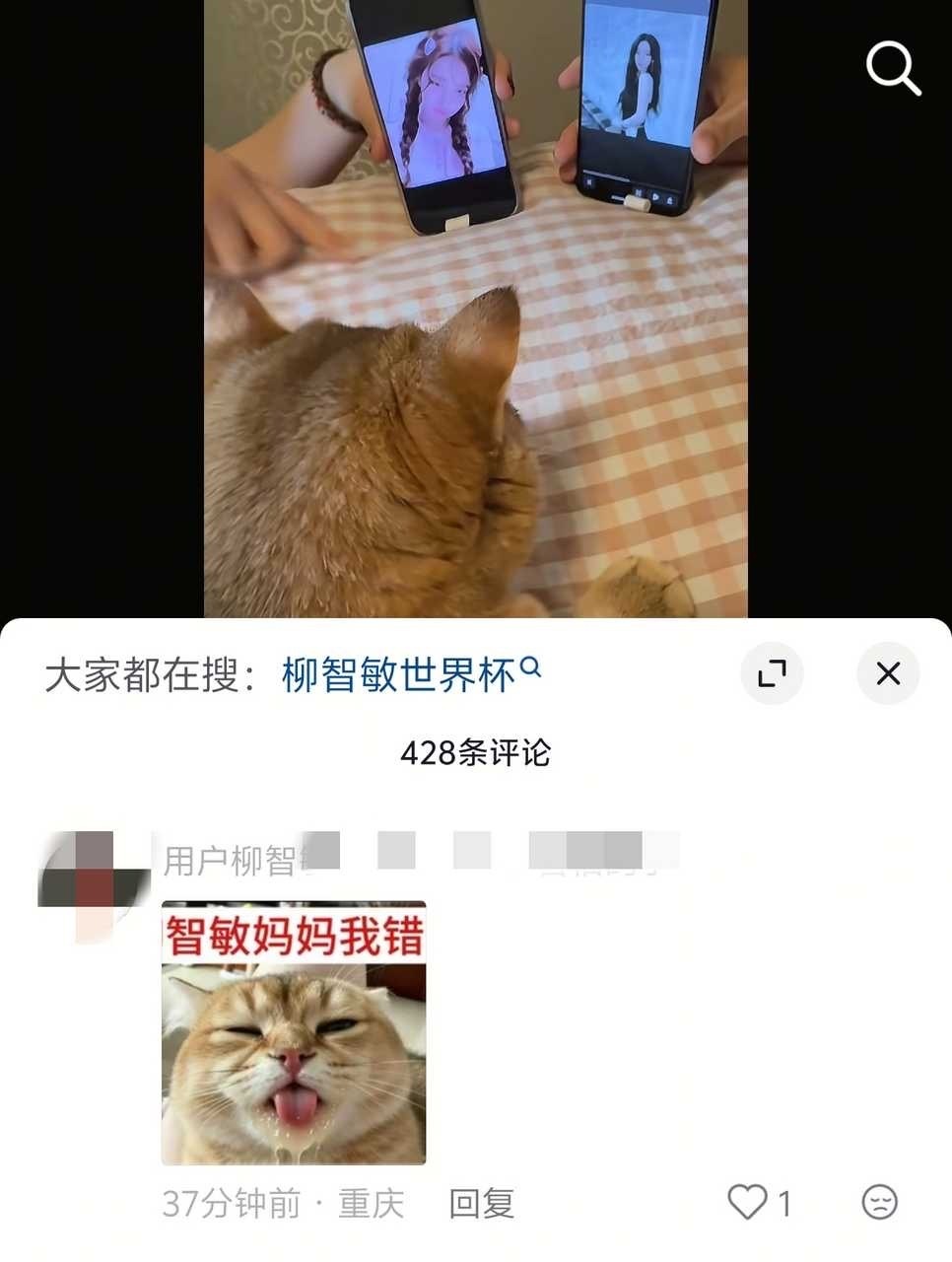 64怎么连小猫都不放过 