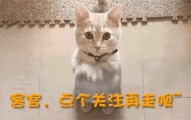 “去父留子”很潇洒，可后来呢？

不少妈妈在生完孩子后，尤其是感到伴侣既给不了充